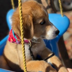 Meet your Posher, Kai